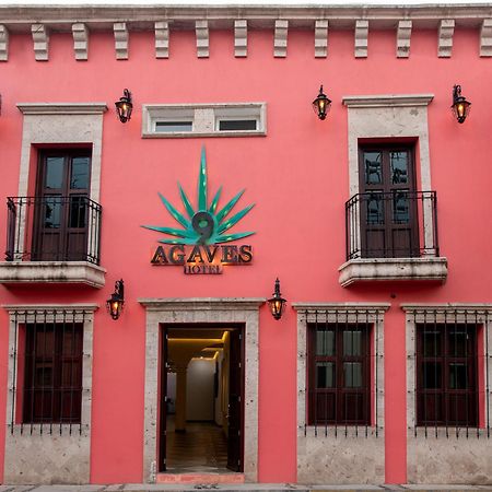 Nueve Agaves Hotel Tequila Esterno foto