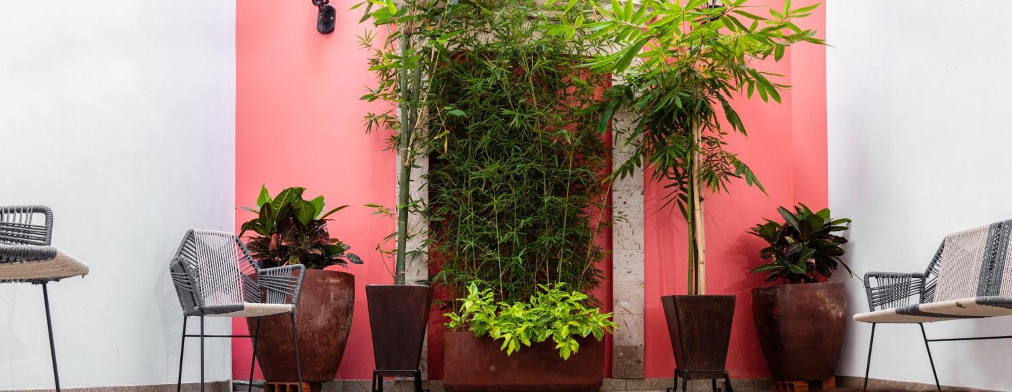Nueve Agaves Hotel Tequila Esterno foto
